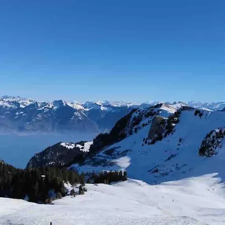 Myrtilles Du Léman Vue Sur Et Montagne Thollon-les-Memises