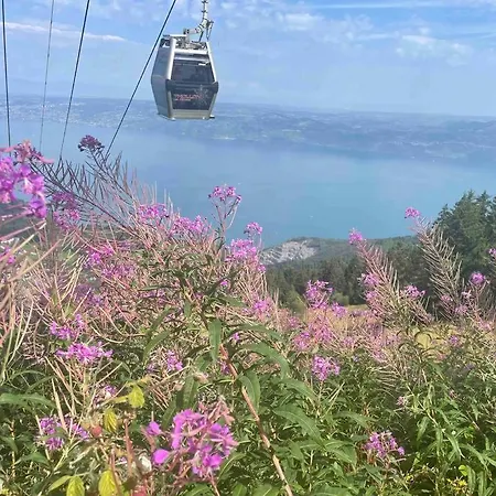 דירה Myrtilles Du Leman Vue Sur Et Montagne Thollon-les-Memises