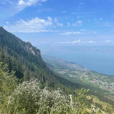 Myrtilles Du Leman Vue Sur Et Montagne Thollon-les-Memises